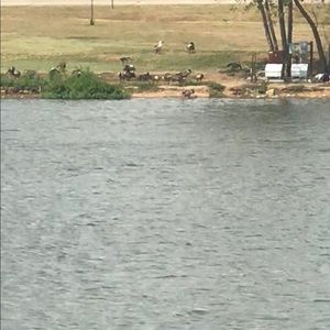 Meet your Posher, Noble